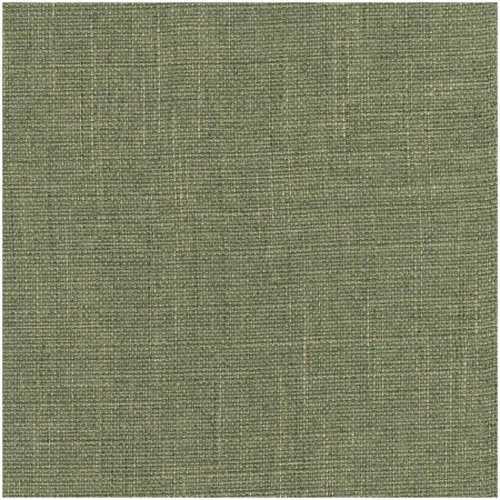 LIKENESS/GREEN - Multi Purpose Fabric Suitable For Drapery