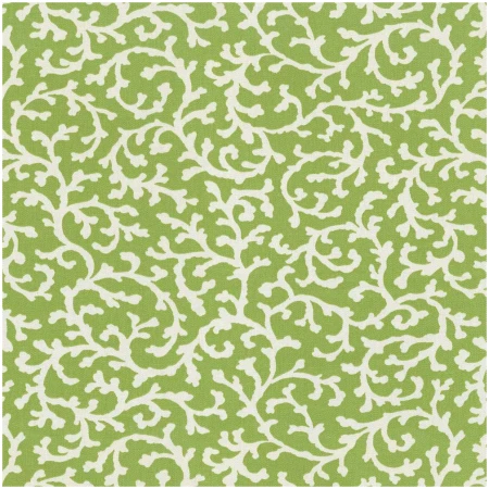 PK-HAVOY/GREEN - Prints Fabric Suitable For Drapery