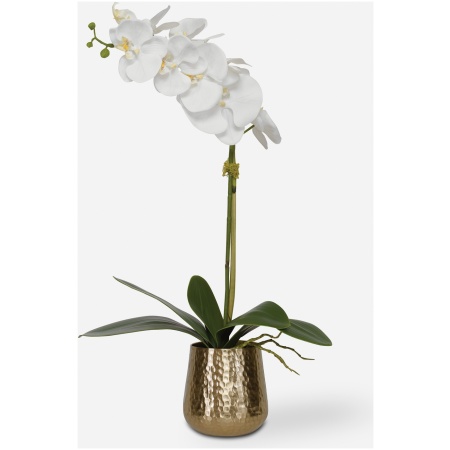 Cami Orchid-Artificial Flowers / Centerpiece