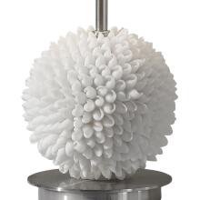 Cascara-Sea Shells Lamp