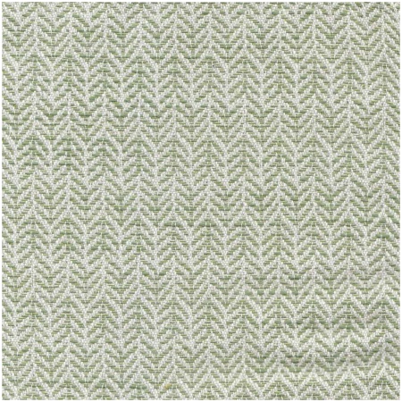 BO-FEAST/LIME - Outdoor Fabric Suitable For Indoor/Outdoor Use - Dallas