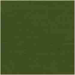 E-Drapvel/Green - Light Weight Fabric Suitable For Drapery