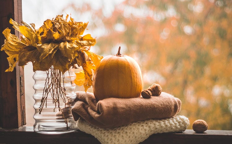 Autumn Warmth Embracing the Season in Your Home Decor Houston Tx Decor