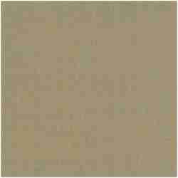 L-Dupioni/Leaf - Light Weight Fabric Suitable For Drapery Only - Dallas