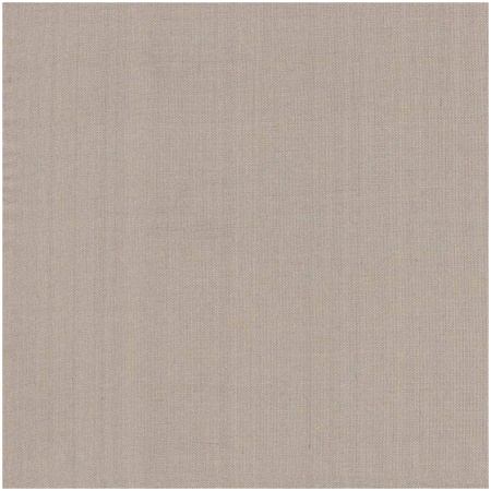 L-DUPIONI/MOON - Light Weight Fabric Suitable For Drapery Only - Houston