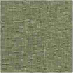 Likeness/Green - Multi Purpose Fabric Suitable For Drapery
