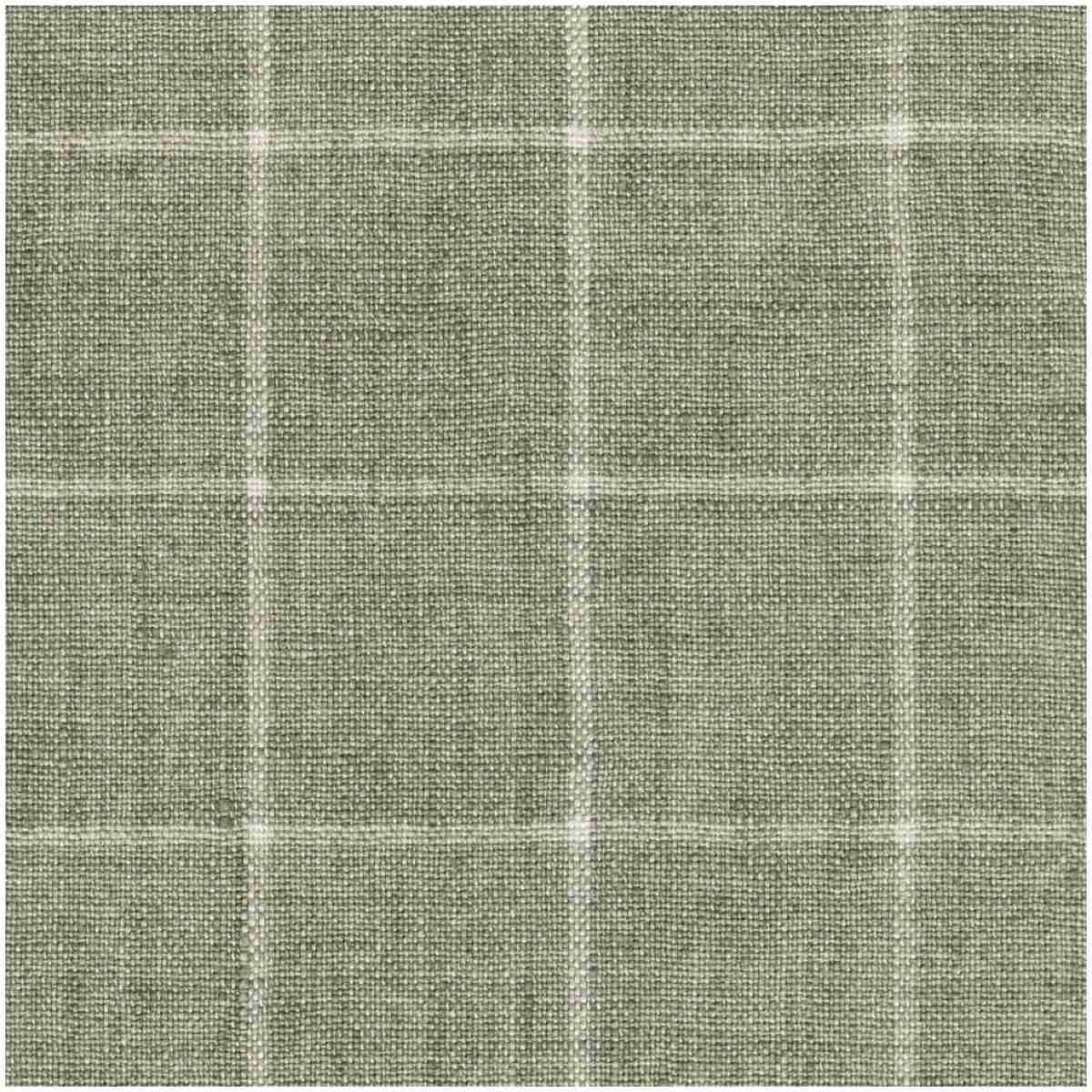 P-Lennet/Cactus - Multi Purpose Fabric Suitable For Drapery
