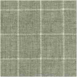 P-Lennet/Cactus - Multi Purpose Fabric Suitable For Drapery