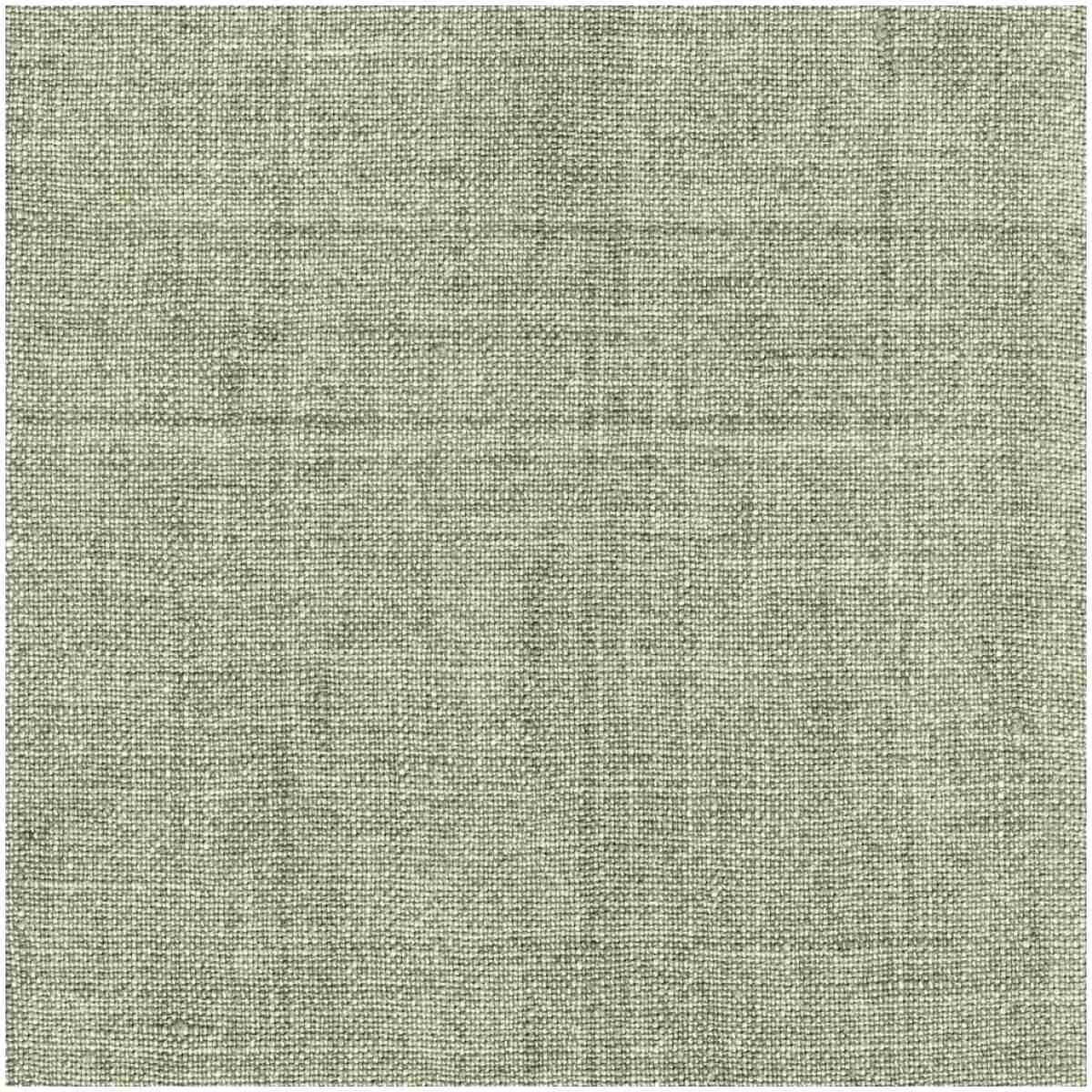 P-Lensity/Cactus - Multi Purpose Fabric Suitable For Drapery