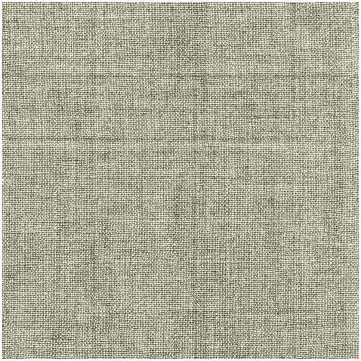 P-Lensity/Cactus - Multi Purpose Fabric Suitable For Drapery