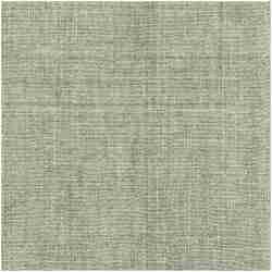 P-Lensity/Cactus - Multi Purpose Fabric Suitable For Drapery