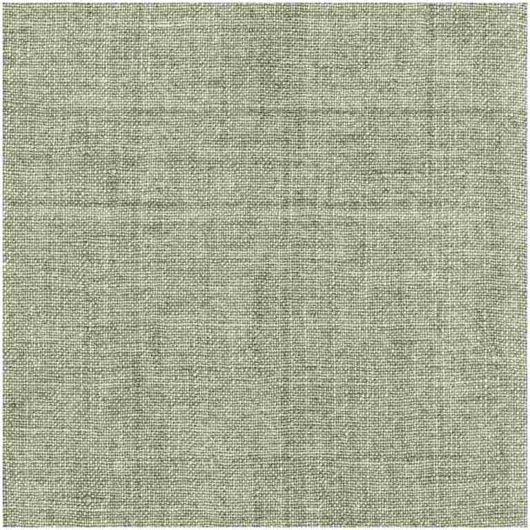 P-Lensity/Cactus - Multi Purpose Fabric Suitable For Drapery
