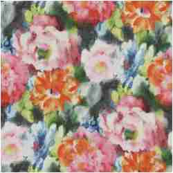 Pk-Harwood/Multi - Prints Fabric Suitable For Drapery