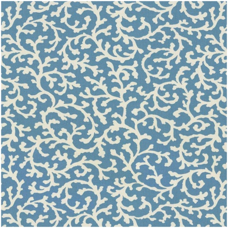 PK-HAVOY/BLUE - Prints Fabric Suitable For Drapery