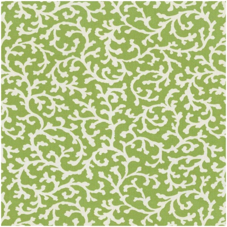 PK-HAVOY/GREEN - Prints Fabric Suitable For Drapery