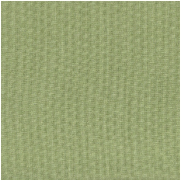 Po-Coronado/Celery - Outdoor Fabric Outdoor Use - Carrollton
