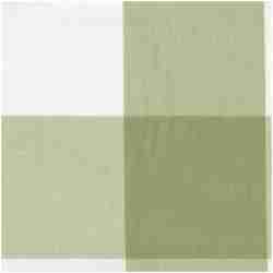 Po-Seaside/Celery - Outdoor Fabric Outdoor Use - Ft Worth