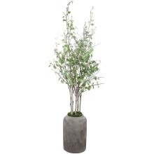 Aldis-Trees-Greenery