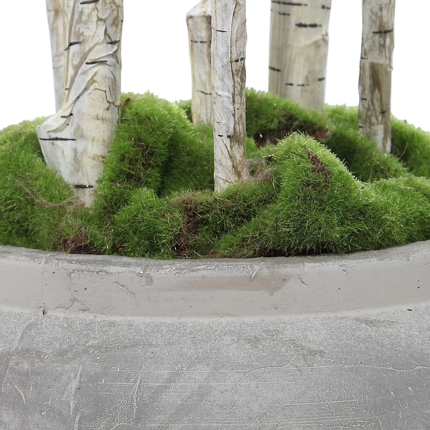 Aldis-Trees-Greenery