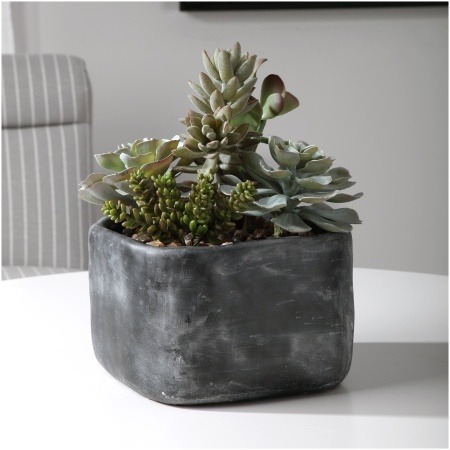 Uttermost Alverio Desert Garden Succulents