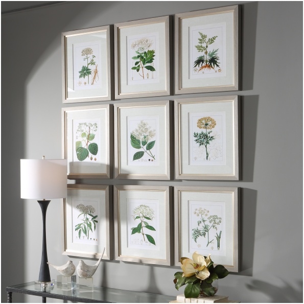 Antique Botanicals Framed Prints