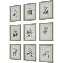 Antique-Leaf / Floral Art