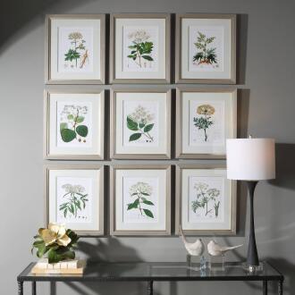 Uttermost Antique Botanicals Framed Prints