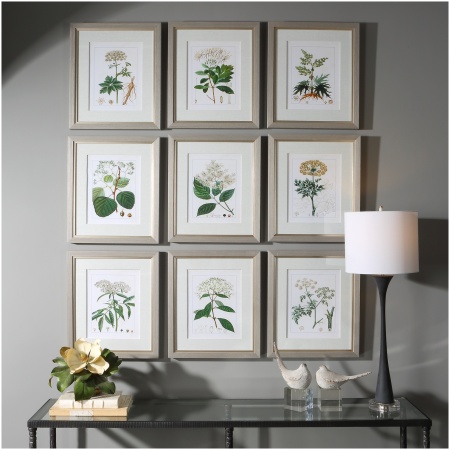 Uttermost Antique Botanicals Framed Prints