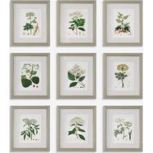 Antique-Leaf / Floral Art