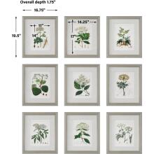 Antique-Leaf / Floral Art