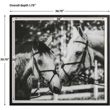 Apple Of My Eye-Horse Prints