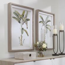 Banana Palm-Botanical Prints