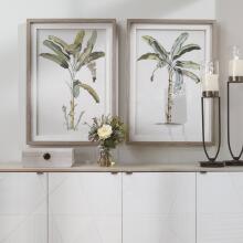 Banana Palm-Botanical Prints