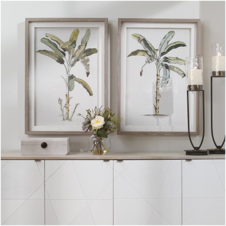 Uttermost Banana Palm Framed Prints