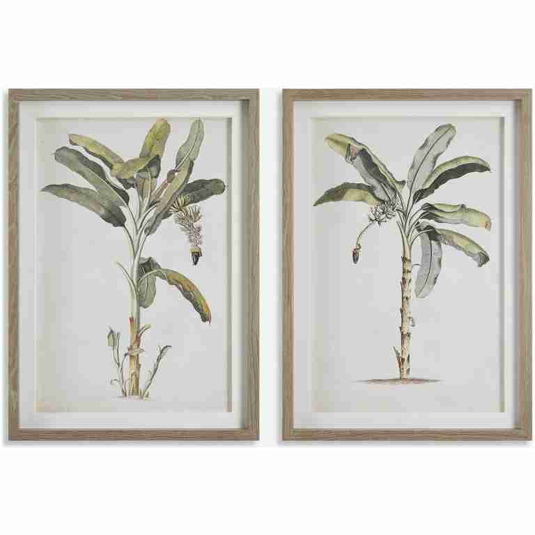 Banana Palm-Botanical Prints