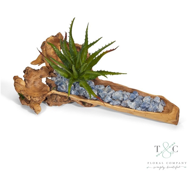 Baby Log Filled With Blue Calcite And Aloe - 4L X 5W X 18H Floral Arrangement