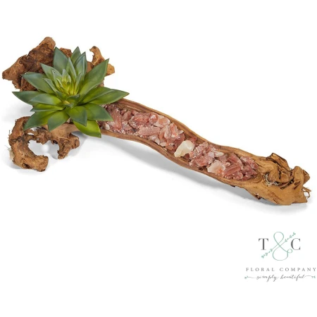 Baby Log Filled with Red Calcite and Aloe - 4L X 5W X 18H Floral Arrangement