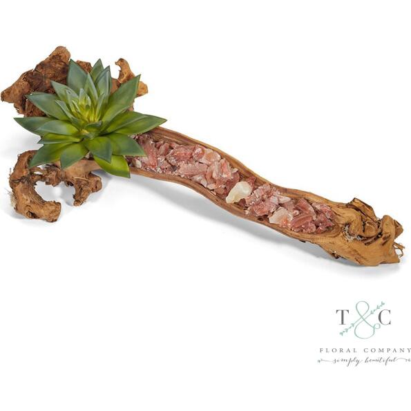 Baby Log Filled with Red Calcite and Aloe - 4L X 5W X 18H Floral Arrangement