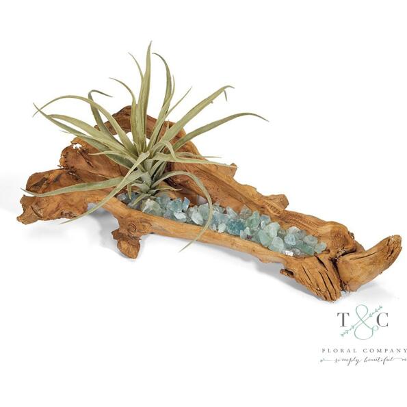 Baby Log Filled With Flourite And Tillandsia - 4L X 5W X 18H Floral Arrangement