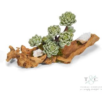 Baby Log filled with Sedum and Quartz - 4L X 5W X 18H Floral Arrangement