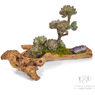 Baby Log filled with Sedum and Amethyst - 4L X 5W X 18H Floral Arrangement