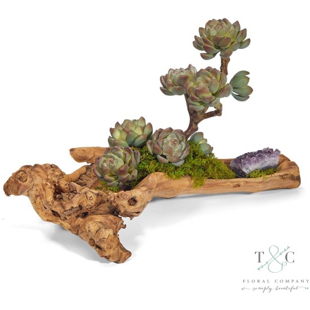 Baby Log filled with Sedum and Amethyst - 4L X 5W X 18H Floral Arrangement