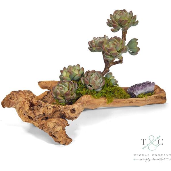Baby Log filled with Sedum and Amethyst - 4L X 5W X 18H Floral Arrangement