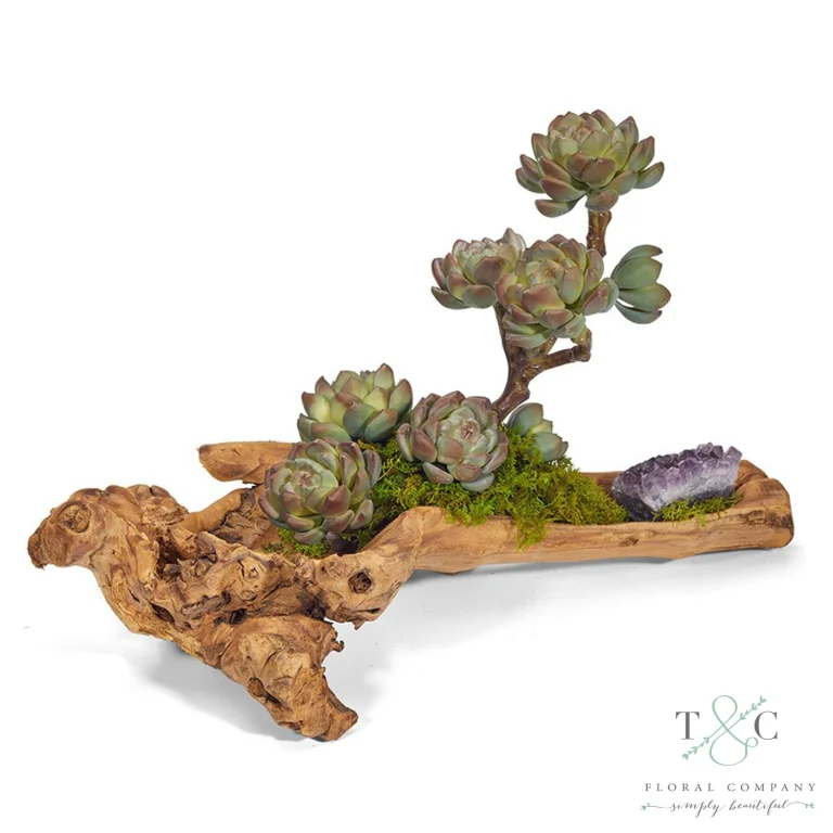 Baby Log filled with Sedum and Amethyst - 4L X 5W X 18H Floral Arrangement