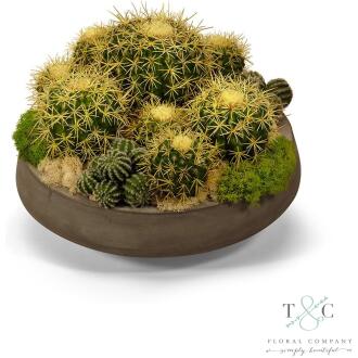 Barrell Cactus in Large Concrete Bowl - 17L x 17W x 15H Floral Arrangement