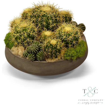 Barrell Cactus in Large Concrete Bowl - 17L x 17W x 15H Floral Arrangement