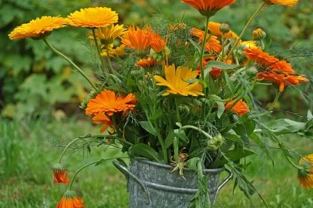 Beautifully Simple Thanksgiving Centerpieces Jpg