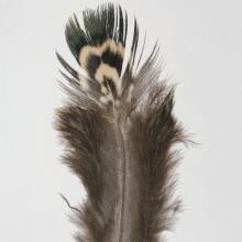 Birds Of A Feather-Animal Print