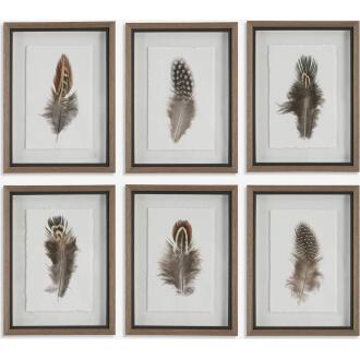 Birds Of A Feather-Animal Print