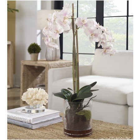 Uttermost Blush Pink And White Orchid